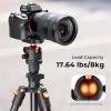 Compatible for DSLR Camera, Portable Travel Tripod with 360 Ball Head & Quick Release, Flexible Vlog Stand view 3