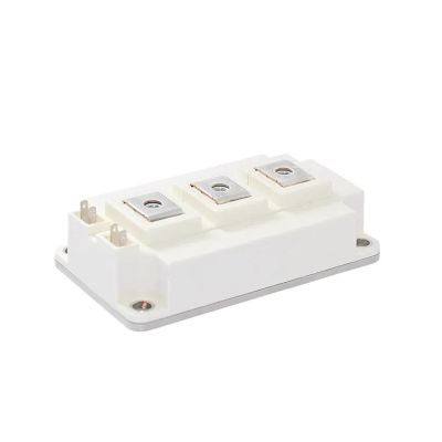 HBWLKJ01 BSM100GB120DLC BSM150GB120DLC BSM200GB120DLC BSM300GB120DLC BSM100GB170DLC BSM150GB170DLC Module(BSM300GB120DLC)