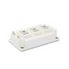 HBWLKJ01 BSM100GB120DLC BSM150GB120DLC BSM200GB120DLC BSM300GB120DLC BSM100GB170DLC BSM150GB170DLC Module(BSM300GB120DLC) view 1