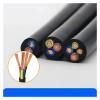 1pc Outdoor Waterproof Copper Wire PVC Sheathed Insulation 2/3 Cores Cable for Lighting Fixtures Installation Wires(2 Cores 10m) view 3