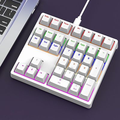 LICAEVEY Mechanical Number Pad, 34 Keys Blue Switch with RGB Backlit, USB C Plug and Play Wired Numeric Keypad for Laptop Desktop PC Programming and Gaming (White)