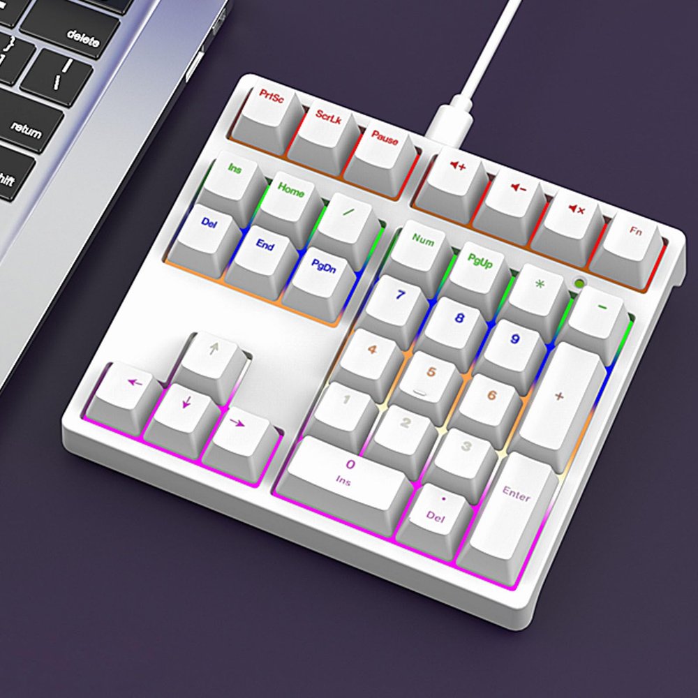 LICAEVEY Mechanical Number Pad, 34 Keys Blue Switch with RGB Backlit, USB C Plug and Play Wired Numeric Keypad for Laptop Desktop PC Programming and Gaming (White)