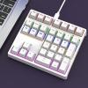 LICAEVEY Mechanical Number Pad, 34 Keys Blue Switch with RGB Backlit, USB C Plug and Play Wired Numeric Keypad for Laptop Desktop PC Programming and Gaming (White) view 1
