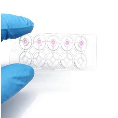 3D Cell Invasion Glass Slide EO Sterilization Independent Packaging 18 Holes