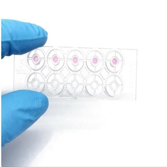 3D Cell Invasion Glass Slide EO Sterilization Independent Packaging 18 Holes