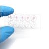 3D Cell Invasion Glass Slide EO Sterilization Independent Packaging 18 Holes view 1