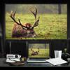 100-inch/120-inch Portable Projector Screen 16:9 Projection Foldable Thick for Outdoor Home Theater view 2