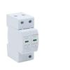 AC 385V Surge Protector 2P 20KA 40KA 60KA Household Lightning Protector Single-Phase Module Arrester Device(20-40KA) view 2