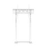 ADBWEKKF Tall TV Floor Stand Height Adjustable TV Mounting Bracket Suitable for 32-65 Inch LED LCD Monitors Loading 40 kg(White) view 1