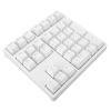ZDAGELD Wired Number Pad, RGB Backlit Mechanical Number Pad, Blue Switch with 34 Keys for Laptop Desktop, USB C Wired Numeric Keypad, Full Bright, Breath, and Rhythm (White) view 4