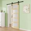 36" x 80" 5-Lite Tempered Frosted Glass Barn Door with 72" Track Kit, Pine Wood Sliding Barn Doors for Closet Kitchen, Excellent Sound & Thermal Insulation, Energy Saving, Resists Dents and Damage view 2