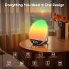DreamSky Portable Radio and Sunrise Alarm Clock Radio with White Noise Sound Machine Bluetooth Speaker view 3