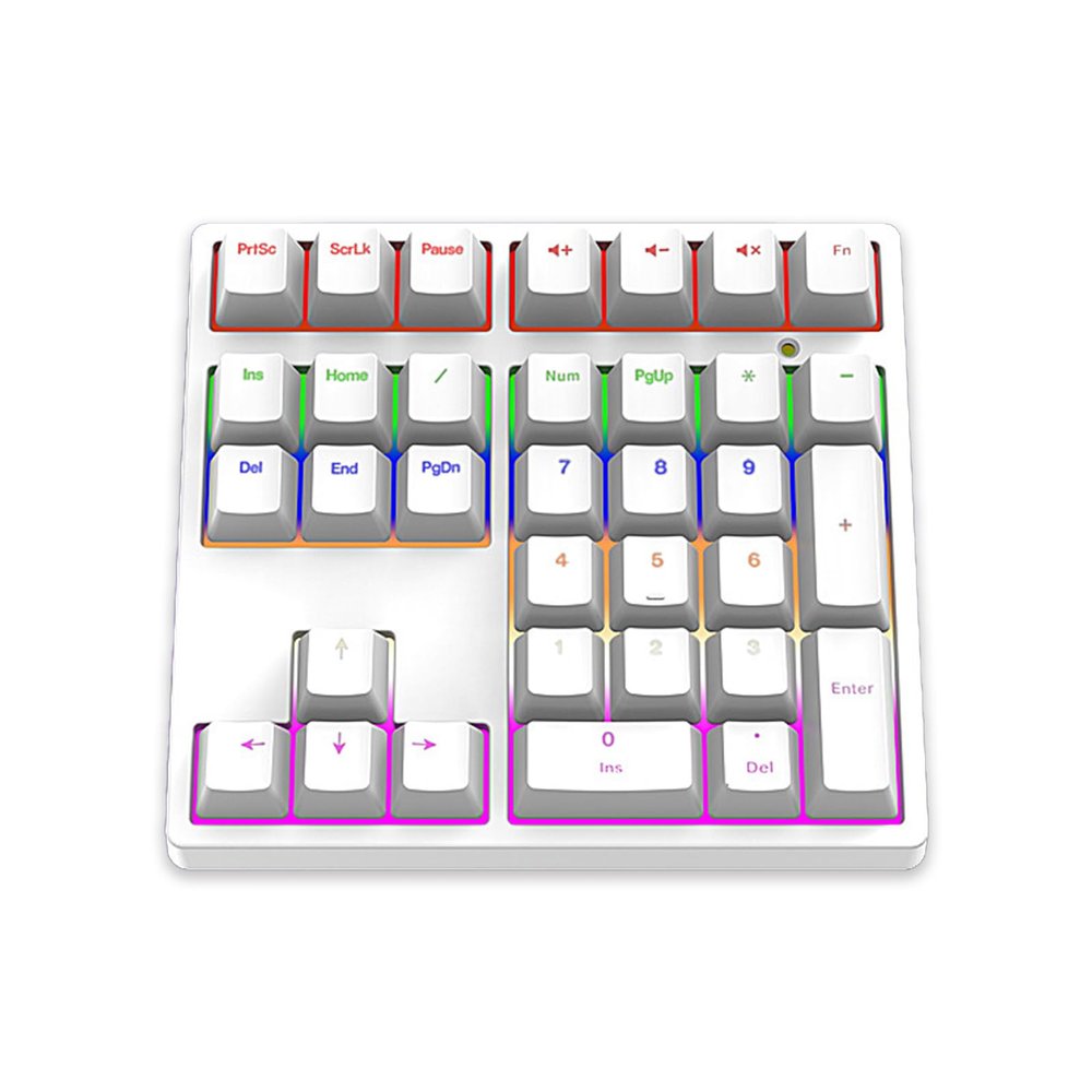 YUEHISY Number Pad, Mechanical 34 Keys USB C Wired Numeric Keypad with RGB Backlit, Blue Switches, Plug and Play for Laptop and Desktop (White)
