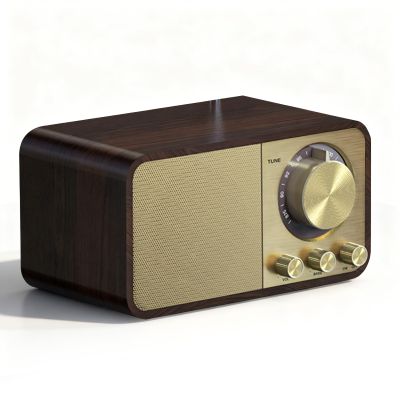 Wisoqu Retro Bluetooth Speaker, Vintage Decor, Wireless Bluetooth 5.0 Speaker, Support USB Small Memory Card, for Kitchen Desk Bedroom Office (Vintage Pattern)