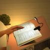 VALICLUD USB Charging Reading Light with Clip Flexible Gooseneck Book Lamp Portable LED Eye-Care Table Lamp for Students Bed Desk Travel Camping view 4