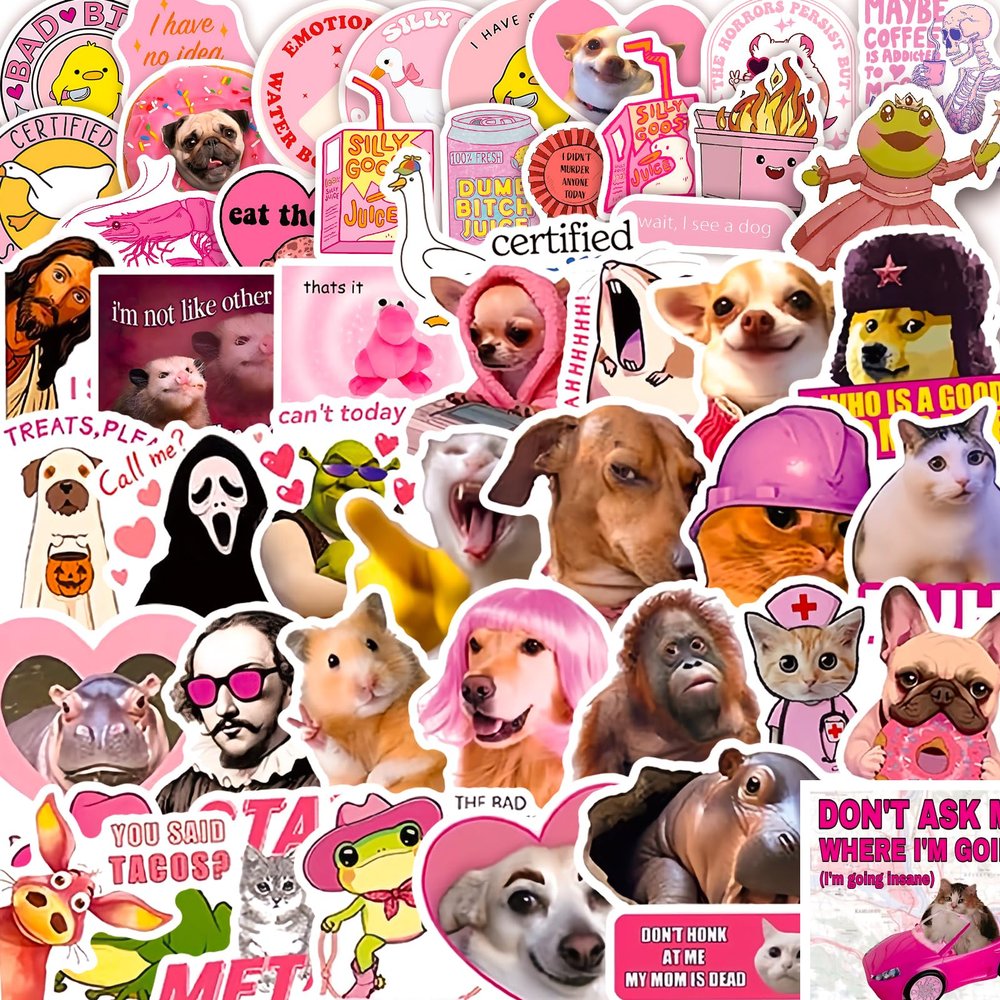 102 PCS Pink Funny Stickers for Adults, Pink Meme Stickers for Women Teens, Waterproof Vinyl Funny Water Bottle Sticker for Laptop Scrapbooking Computer Cars Hard Hat