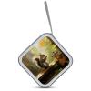 LOKLNEYK Squirrel Eats Nuts DVD Case Large Storage Disc Wallet Bag Portable Zipper CD Case Holder CD Organizer Wallet 48 Capacity Hard Plastic DVD Cases for Car Home Travel view 3