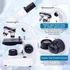 40X-1000X Binocular Microscope for Adults, Dual LED Illumination, Coarse & Fine Focus, Adjustable Eyepiece, with Storage Bag for Education and Lab Use view 2