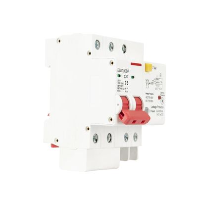 230V 2P SPD Residual Current Circuit Breaker with Overload Overvoltage RCBO RCCB with Lightning Protection MCB Leakage Protector(63A)
