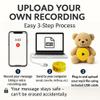 RediTech Go Rechargeable 12-Pack Recordable Voice Modules  MP3 Upload from Any Windows PC  240 Seconds  for Plush Toys, Gifts, Keepsakes & DIY Crafts  Yellow view 4