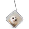 FodPand Funny Owl CD Case 40 Capacity CD Holder Organizer Portable Zipper DVD Collection Storage Bag Compact Cases Storage Binder Plastic Holder Disc Car Home Travel view 3