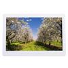 10-inch Digital Photo Frame with Remote Control, HD IPS Screen, Calendar, and Video Playback - Black (Also Available in 11.6-inch White). view 1