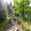 10X8ft Fabric Forest Path Photography Backdrop, Natural Sunlit Woodland Trail Canvas Print, Green Mountain Hiking Scene Wall Art for Home Decor view 1