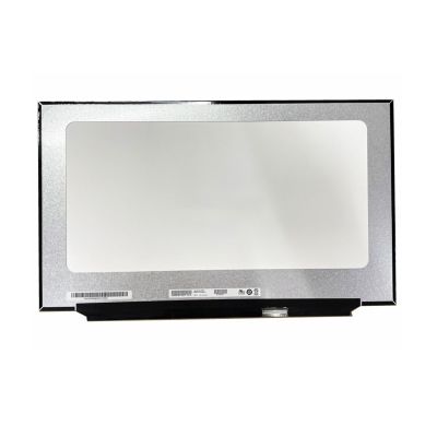 EDP 40PIN IPS FHD 1920x1080 LCD Display 17 Inch