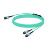 Gvdlink NMFP7E20 Optical Multimode Splitter Fiber Cable 3m (10ft) MPO12 to 2xMPO12 LSZH OM4 for NMFP7E20-N003 (10, feet) view 2