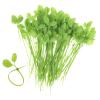 Plant Zip Ties | Leaf-Shaped Support Straps | Decorative Plant Cable Zip Ties - for Garden Patio Home Greenhouse Fence Indoor Outdoor Landscaping view 1