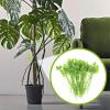 Plant Zip Ties | Leaf-Shaped Support Straps | Decorative Plant Cable Zip Ties - for Garden Patio Home Greenhouse Fence Indoor Outdoor Landscaping view 2