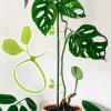 Plant Zip Ties | Leaf-Shaped Support Straps | Decorative Plant Cable Zip Ties - for Garden Patio Home Greenhouse Fence Indoor Outdoor Landscaping view 3