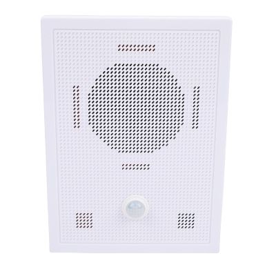 Asixxsix Infrared Motion Sensor Activated Sound Speaker, PIR Motion Detection with Control, MP3 Audio Sound Files, for Shop Store, Garage Door Alert, Public Address (US Plug)