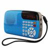 EWUROI Portable Radio Mini Stereo LED Display Auditorium Large Speakers for Old Man Morning Exercise view 1