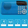 EWUROI Portable Radio Mini Stereo LED Display Auditorium Large Speakers for Old Man Morning Exercise view 2