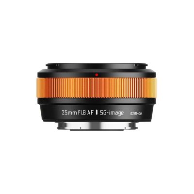 Lens Compatible for Sony E-Mount 25mm F1.8 APS-C Auto Focus STM Portrait Lens X(Silver,Z)
