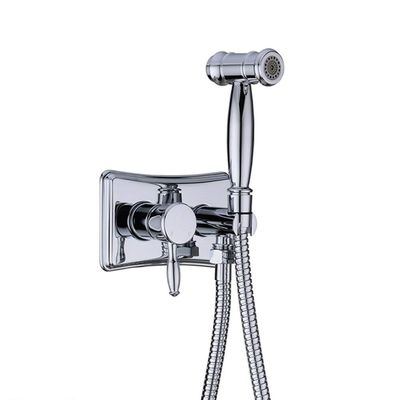 RWYRBNSL 2 Function Handheld Sprayer Single HandleSpray Hot and Cold Water Wall Mounted Toilet Sprayer Bathroom Attachment,Black(Chrome)
