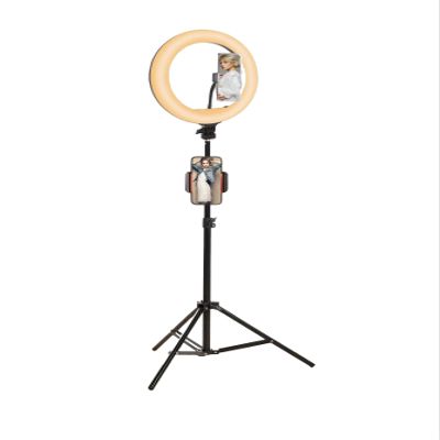 10-Inch LED Ring Light with 43.3-Inch Adjustable Tripod Stand, 3 Color Modes, USB Powered, Phone Holder for Live Streaming, Makeup, Photography, Video Recording
