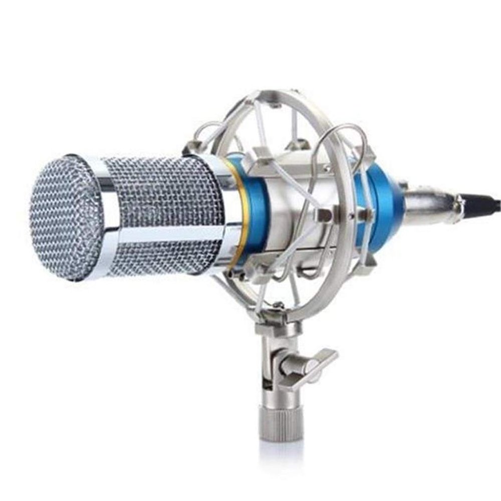 EWUROI Professional Condenser Microphone Cardioid Audio Studio Vocal Recording Mic KTV + Shock Mount