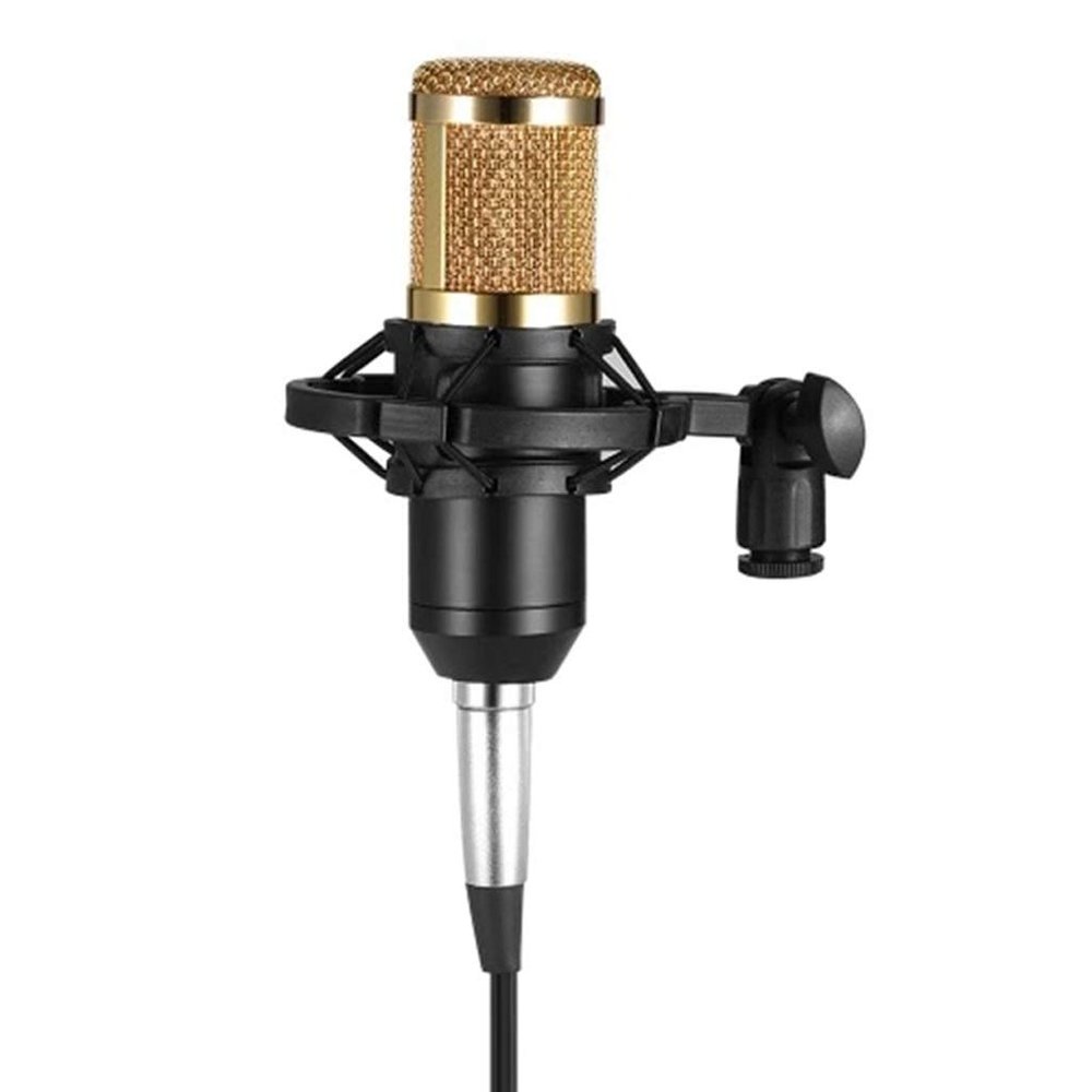 EWUROI Condenser Microphone Studio Sound Recording Broadcasting with Shock Mount 3.5Mm o Cable Sponge