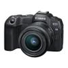 Canon EOS R8 24.2MP Full-Frame CMOS Sensor Mirrorless Camera with 24-50mm Lens + 64GB Memory + Stabilizing Grip + Software Pack +More (Value Bundle) (Renewed) view 2