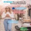AI Smart Glasses with Camera Dual 8MP Anti Shake Camera 2K Photo 1080P HD Video Audio Recording AI Object Recognition Real Time Translation AI Assistant for Business Travel Conferences Vlogging view 4