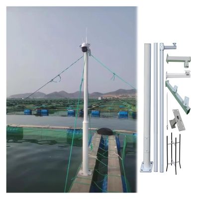 Industrial Surveillance Camera Pole, 16.4ft Security Camera Post with Dual Camera Support Arm, Roadside Monitoring Stand for Enhanced Outdoor Security