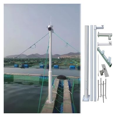 Industrial Surveillance Camera Pole with Twin Support Arms - Heavy-Duty Security Camera Post for Roadside Monitoring & Outdoor Surveillance Solutions