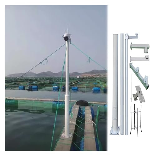 Industrial Surveillance Camera Pole with Twin Support Arms - Heavy-Duty Security Camera Post for Roadside Monitoring & Outdoor Surveillance Solutions