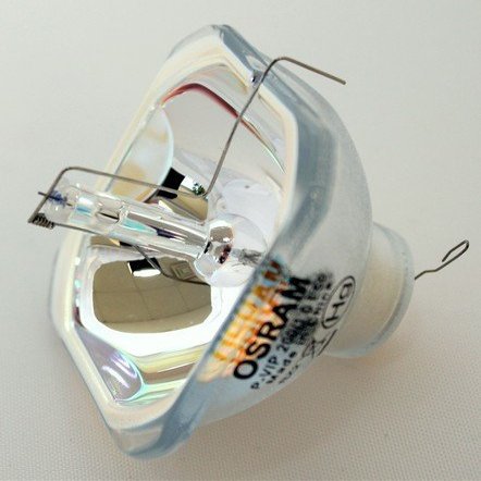 BulbAmerica Projector Bare Bulb for Epson EB-1830 - Without Housing Assembly