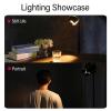 DirectNine Basics Four Leaf Light Baffle, Portable Aluminum Alloy Flash Light Baffle, Small Lens Reflector Adjustable Lamp Modifier for Video Lamps view 2