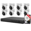 LTS 8ch PoE Security Camera System, 8-ch NVR with 2TB HDD + 4MP IP Cameras (8 Turret Cameras) view 1
