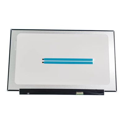 16.1 inch LCD Display 30 pin LED Screen Display