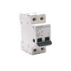 2P Main switches HL30 Isolating Circuit Breaker Household Function Disconnector Isolator 32A 63A 100A Printing(32A) view 1